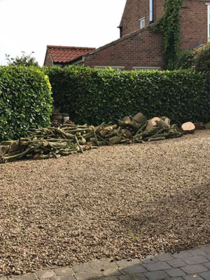 Logs piled
