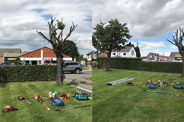 Cutting a beech hedge