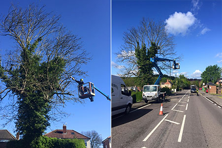 Cherry picker