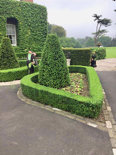 Tree and hedge trimmed