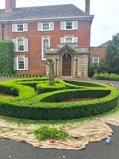 Hedge trimming