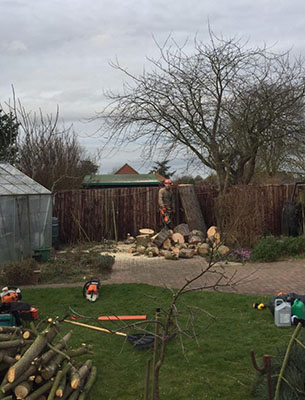 Tree surgeon in Newark