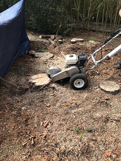 Stump grinding in Newark