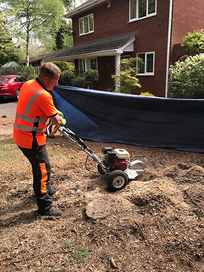 Stump grinding in Nottingham