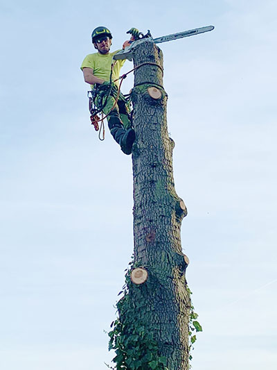 Tree surgeon